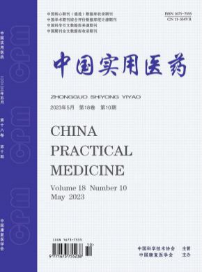 中国实用医药期刊